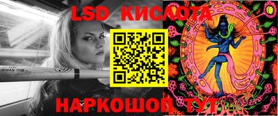 шишки Кингисепп