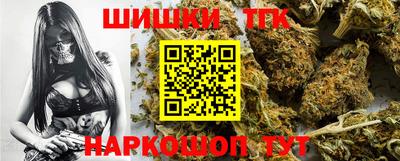 шишки Кингисепп