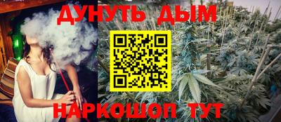 шишки Кингисепп