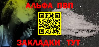 шишки Кингисепп