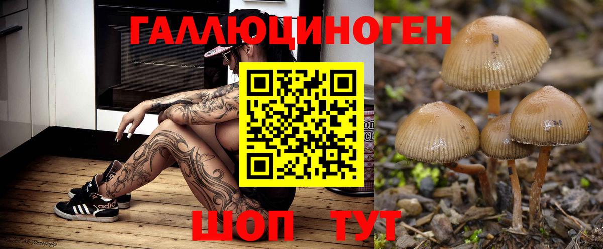 Валуйки  Псилоцибиновые грибы мухоморы  Вход с VPN 